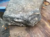 image-1486897188.webp