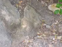 DSCN0939.webp