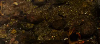 Untitled-1.webp