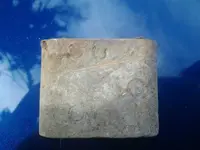 1411919047249.webp
