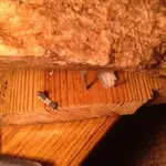image-4044017578.webp