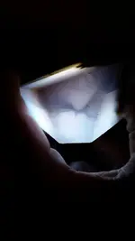 10617661_10152326319078461_61212044_n.webp