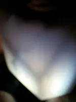 10617794_10152326327173461_652335879_n.webp