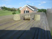 thimbles1b.webp