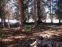 B-dscf1302.webp