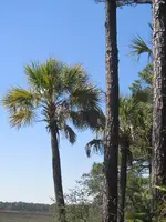 112213 056.webp