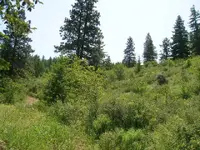 DSCN2095-1.webp
