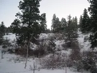 DSCN9579.webp