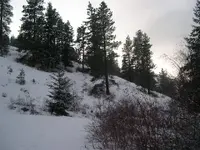 DSCN9581.webp