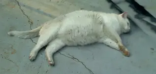 20120504183841-1.webp
