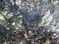 10407255_918353844849692_4138998428436977322_n trail 3.webp