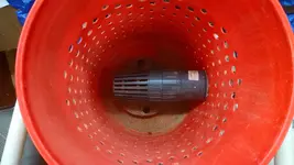 gold bucket 059.webp