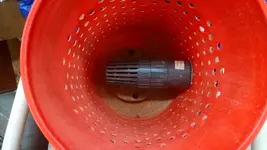 gold bucket 058.webp