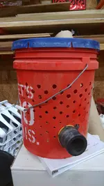 gold bucket 057.webp
