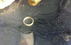 ring.webp ring.webp
