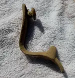 DSCN1365.webp