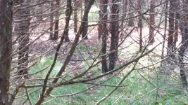 20141030_113215.webp