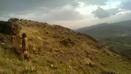 VIDEO0110_٠٠٠٠٠١٠٥٣٤.webp VIDEO0110_٠٠٠٠٠١٠٥٣٤.webp