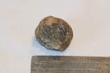 Rock 01.webp