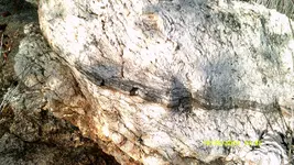 DSCF0125.webp