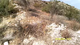 DSCF0128.webp