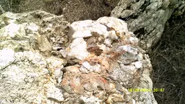 DSCF0145.webp