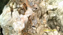 DSCF0149.webp