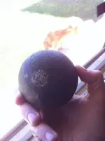 balll.webp