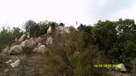 DSCF0156.webp