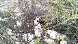 DSCF0157.webp