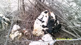 DSCF0158.webp
