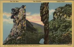 image.webp