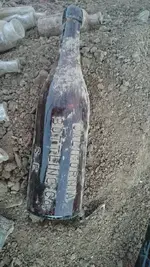 sfbeer.webp