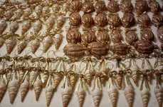 shells2.webp