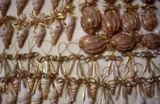 shells3.webp
