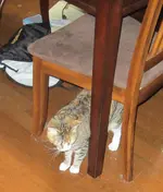 21-IMG_0600.webp