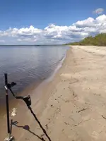 image-414577991.webp