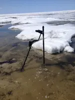 image-311798577.webp