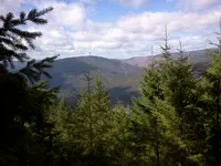013.webp