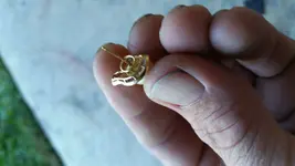 earring111514 (1).webp