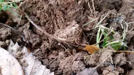 20141012_170328.webp