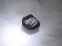 Star-Black.webp