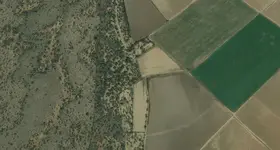 treasure location ss.webp