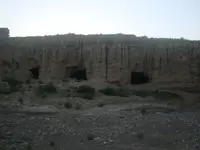 53310718.webp