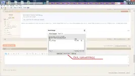 Uploading image 5.webp