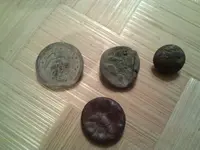 IMG_20141121_071502.webp