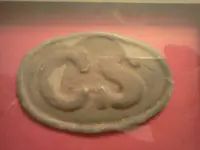 CSA Buckle.webp