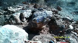 DSCF0233.webp