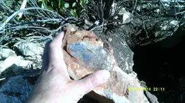 DSCF0242.webp
