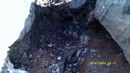 DSCF0243.webp